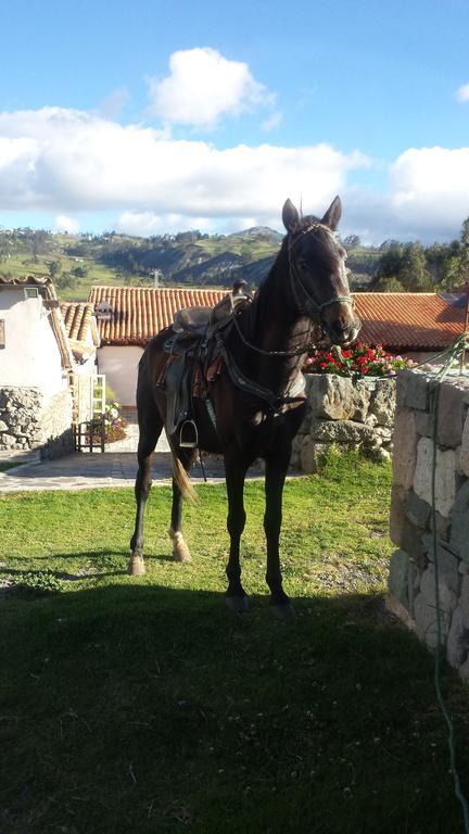 Hosteria La Condesa Honorato Vásquez Buitenkant foto